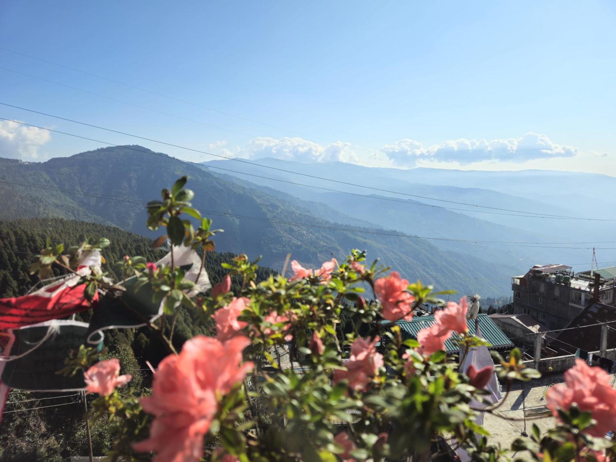 Lama Homestay Darjeeling  Luaran gambar