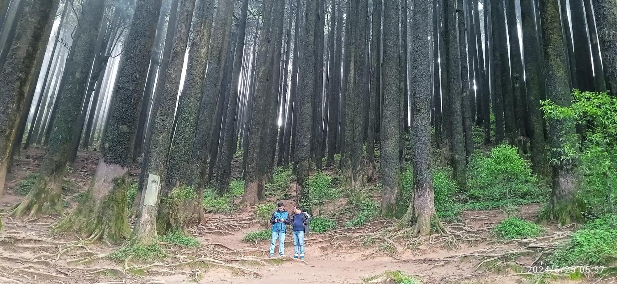 Lama Homestay Darjeeling  Luaran gambar