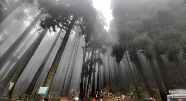 Lama Homestay Darjeeling  Luaran gambar